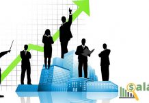 Entenda a diferença entre os níveis Júnior, Pleno e Sênior As diferenças entre os níveis Júnior, Peno e Sênior dentro da empresa