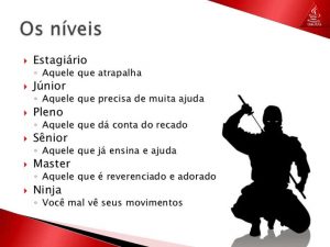 Júnior, Pleno e Sênior - Entenda a diferença entre os níveis hierárquicos