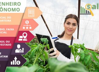 Engenheiro Agrônomo – Salário – Campinas, SP