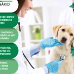 Salário Medico Veterinário 