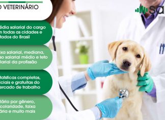 Medico Veterinário