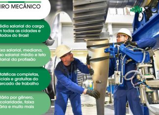 Engenheiro Mecânico
