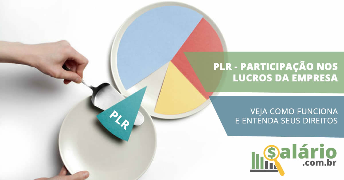 PLR Participação nos lucros da empresa