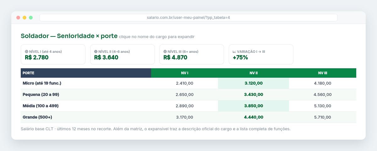 Matriz de senioridade por porte com indicadores